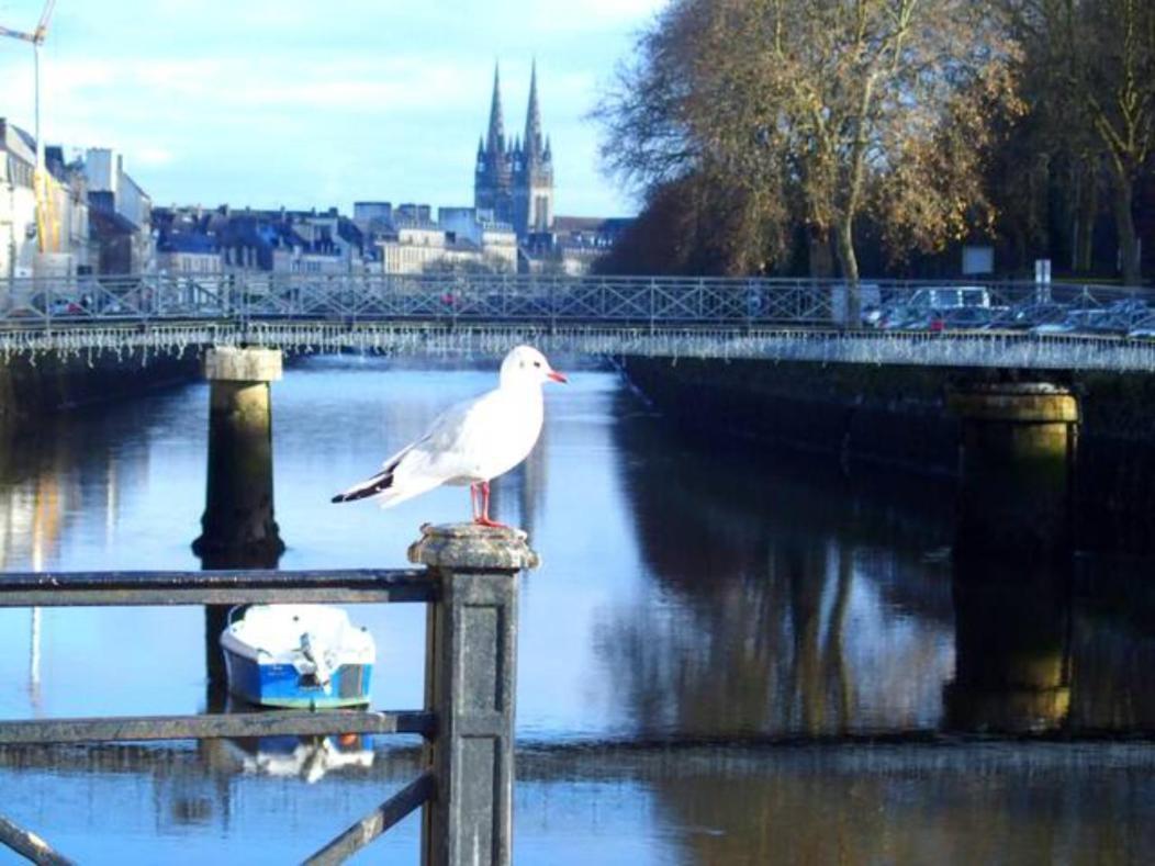 Sweet Home En Plein Coeur De Quimper Luaran gambar